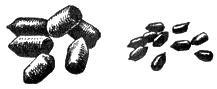 risfor88.gif
