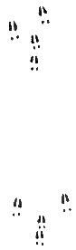 risfor90.gif