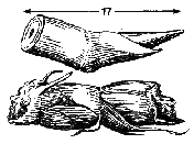 risfor92.gif