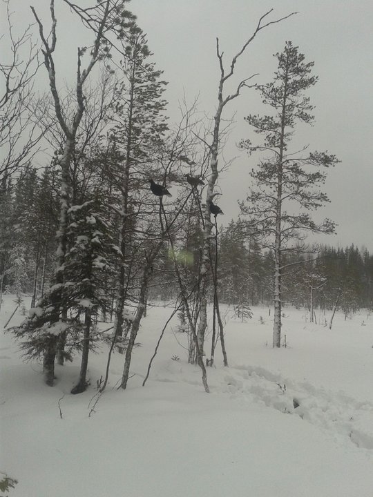 20141216_110433.jpg