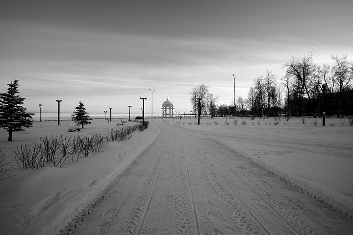 DSC_1982.JPG