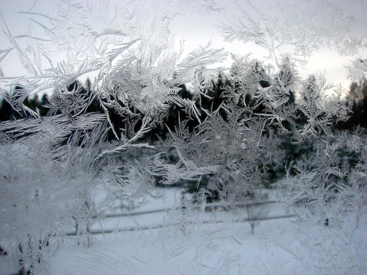 феврал 005.jpg