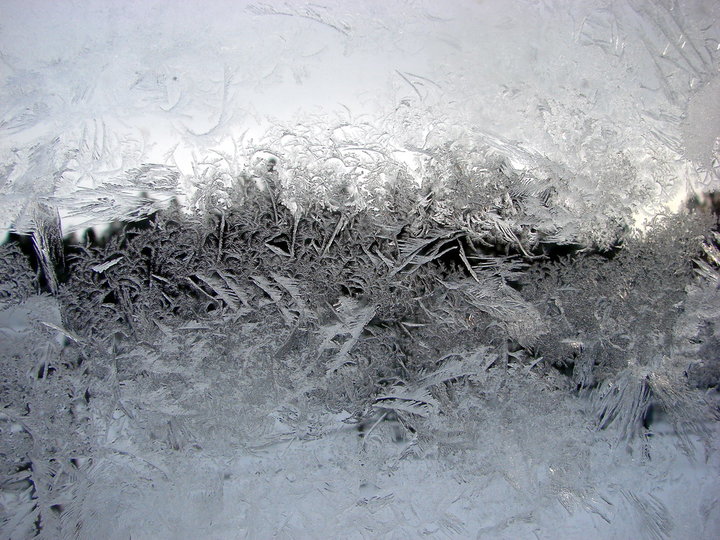 феврал 007.jpg