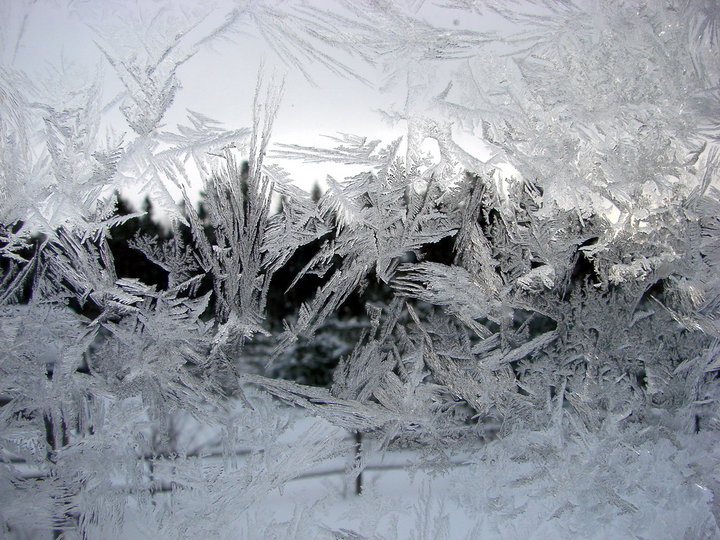 феврал 008.jpg