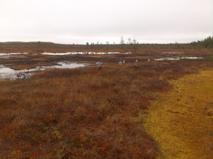 DSC_1013.JPG