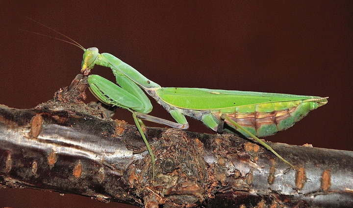 DSC_0453.JPG