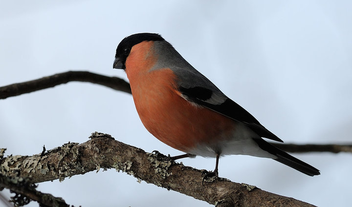 DSC_74821.jpg