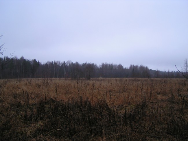 PICT0239.JPG