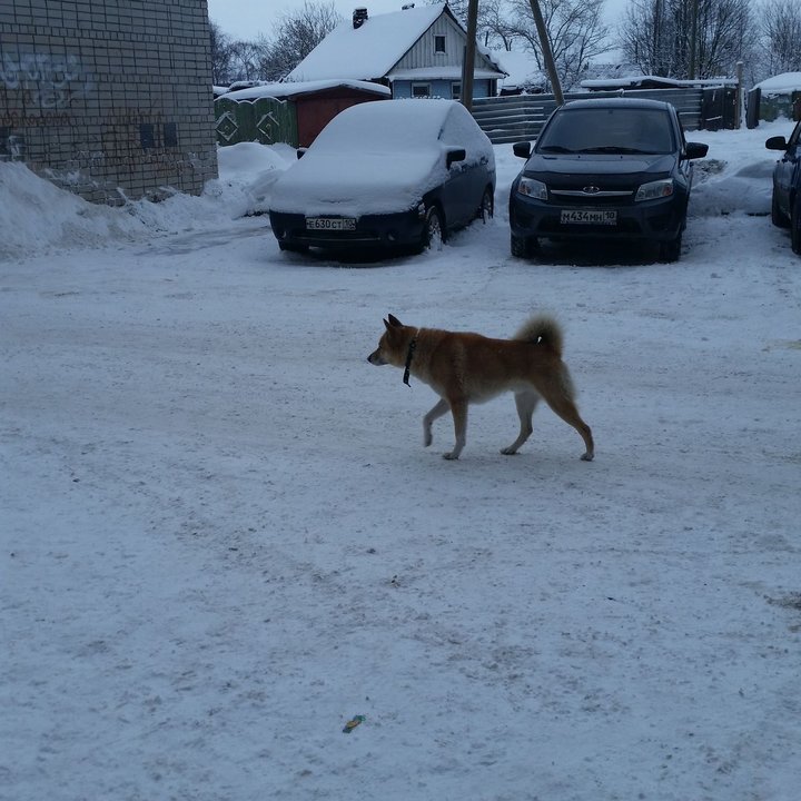 20150115_132355.jpg