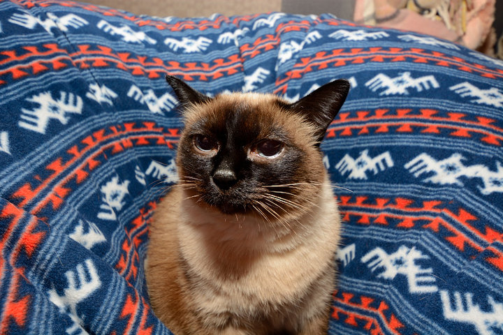 DSC_2060.JPG