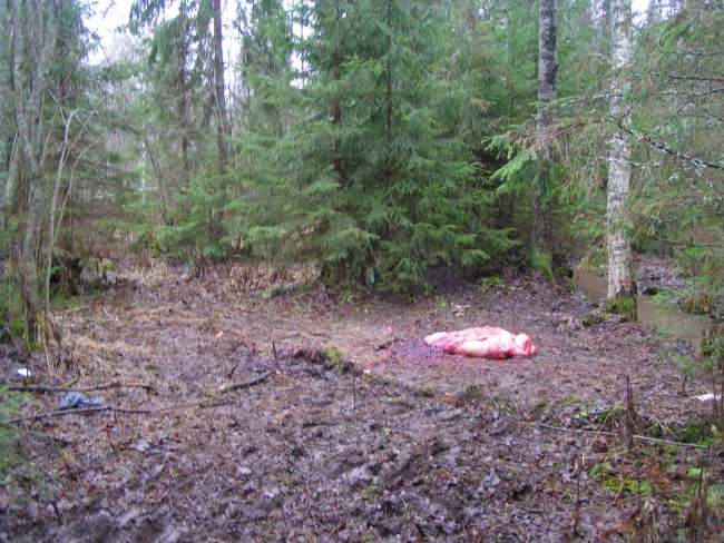 PICT0293.JPG
