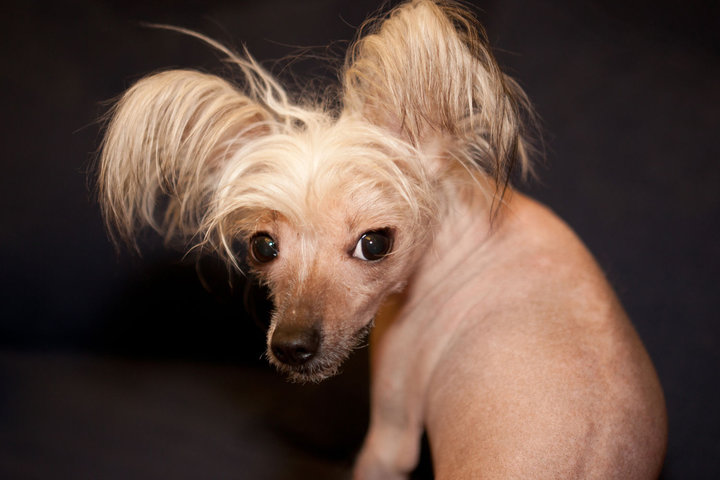 IMG_8030.jpg (156.6 КБ) 6441 просмотр IMG_8030.jpg