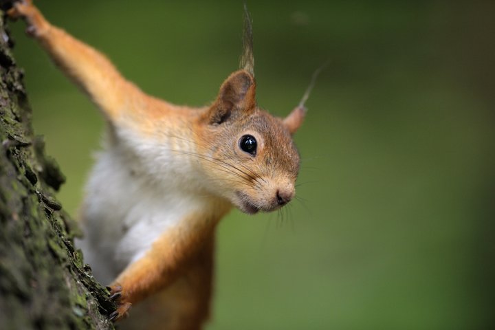 DSC_91151.jpg