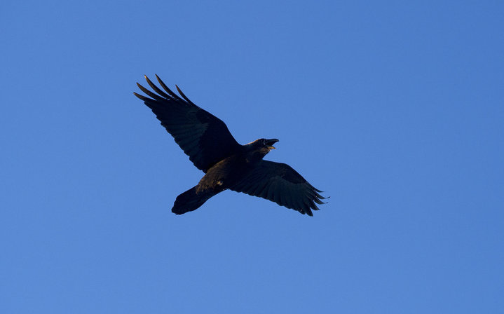 KMK_5787-1.jpg