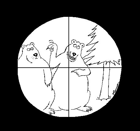 post-13-1177652053.gif