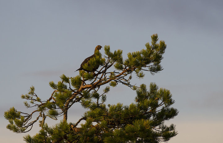 DSC_1412.jpg
