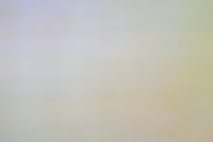 DSC_2436.JPG