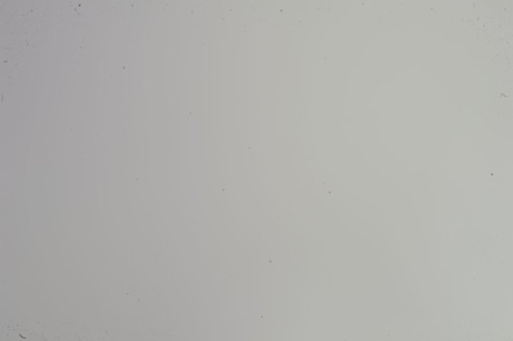 DSC_7024.jpg