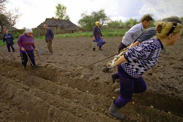 жанровая сценка.jpg