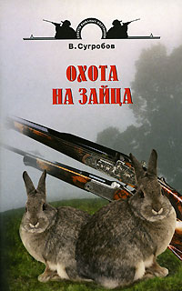 54000016287.jpg