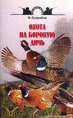 54000020678С‡.jpg