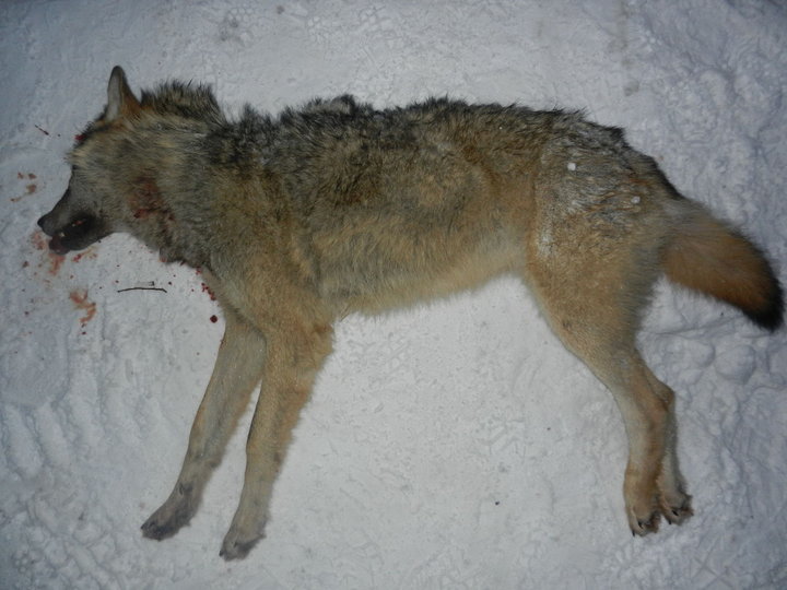 DSCN4425.JPG