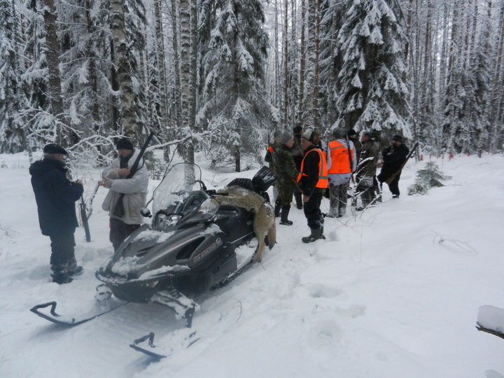 DSCN4417.JPG