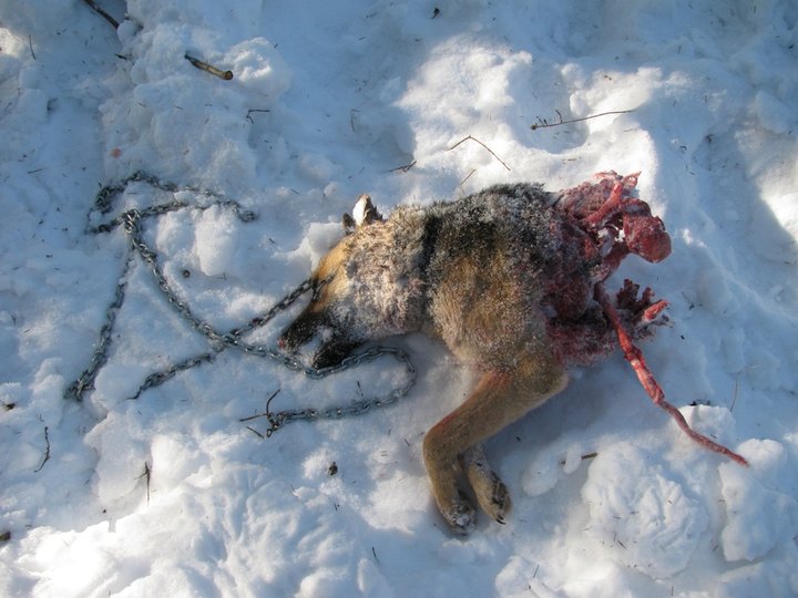 Изображение 241.jpg