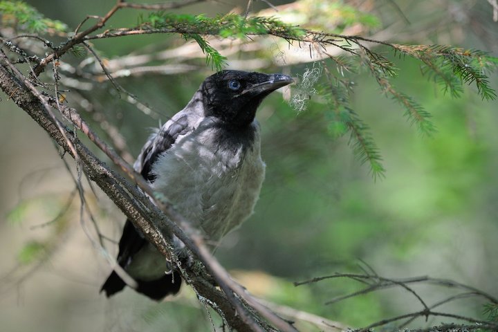 DSC_6684.jpg