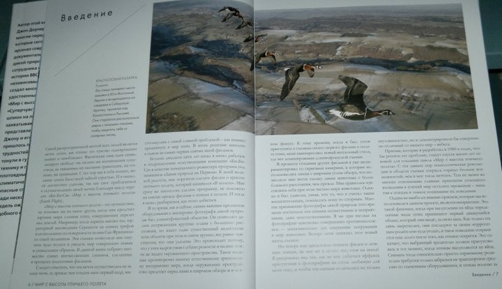 123.jpg