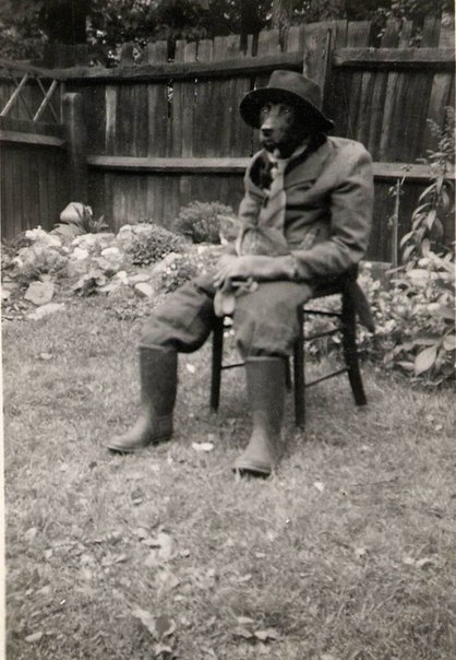 77.jpg