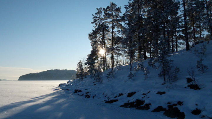 P1040394.JPG