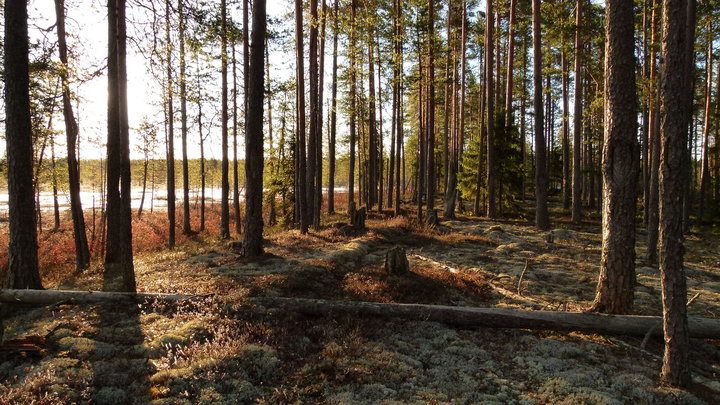 P1120310.JPG