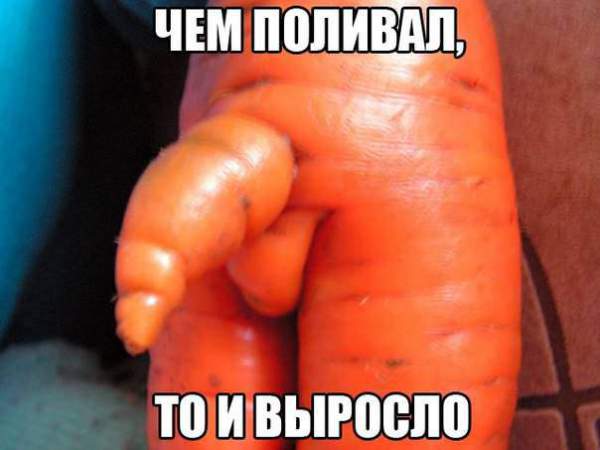Vjhrjdrf.jpeg