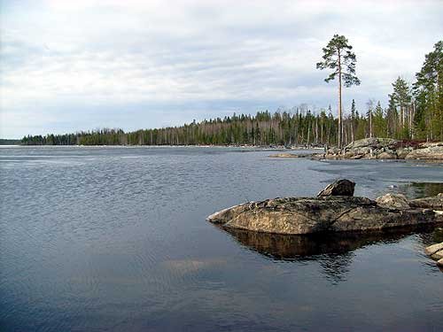 S7300827.jpg