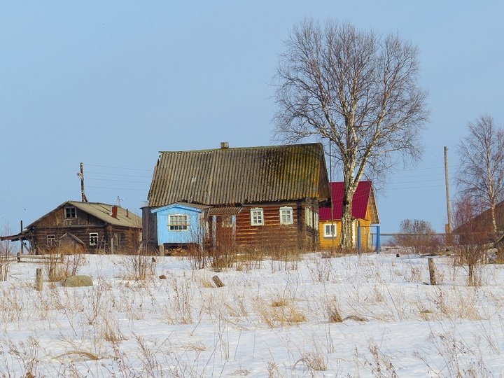 IMG_1734.JPG