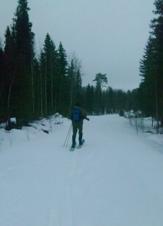 Поехали