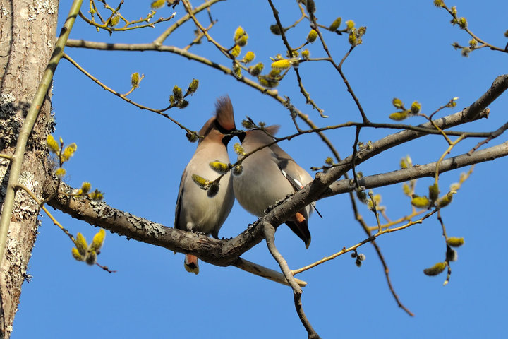 DSC_7650.jpg