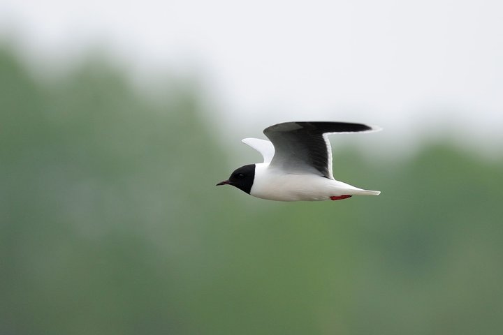 DSC_4808.jpg