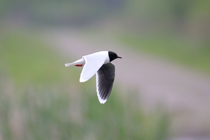 DSC_4879.jpg
