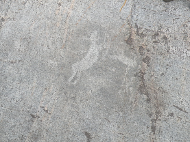 DSCN5079.JPG