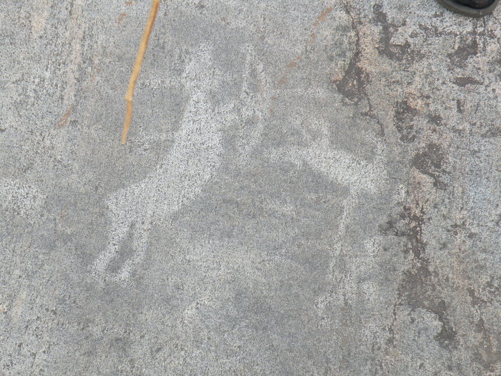 DSCN5080.JPG