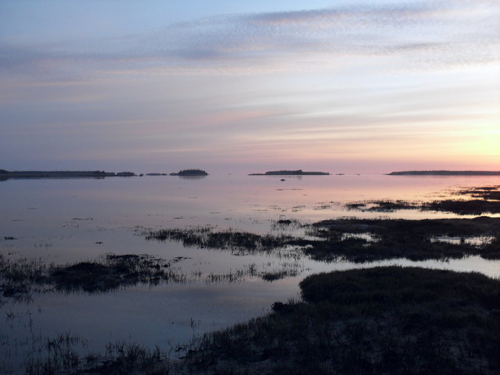 SDC11212.jpg