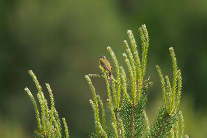 DSC_5881.jpg