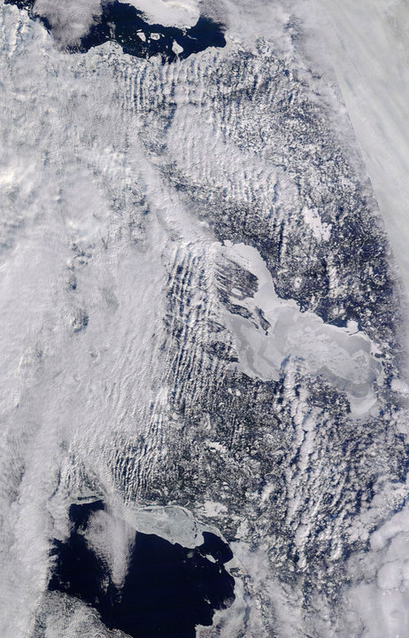Arctic_r01c05.2015064.terra.250m12222.jpg