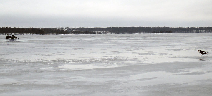 IMG_1246.jpg