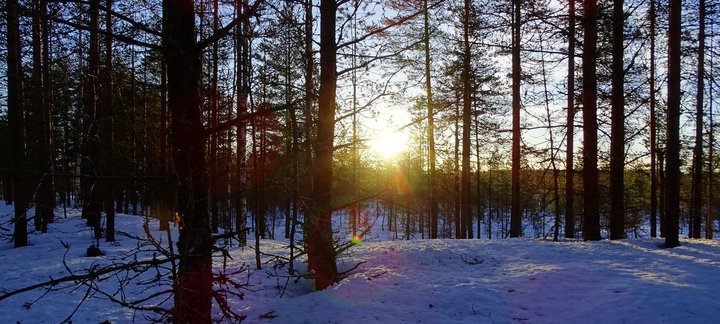 Восход солнца