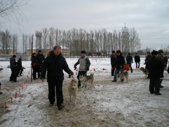 РєРѕР±РµР»Рё1 .JPG