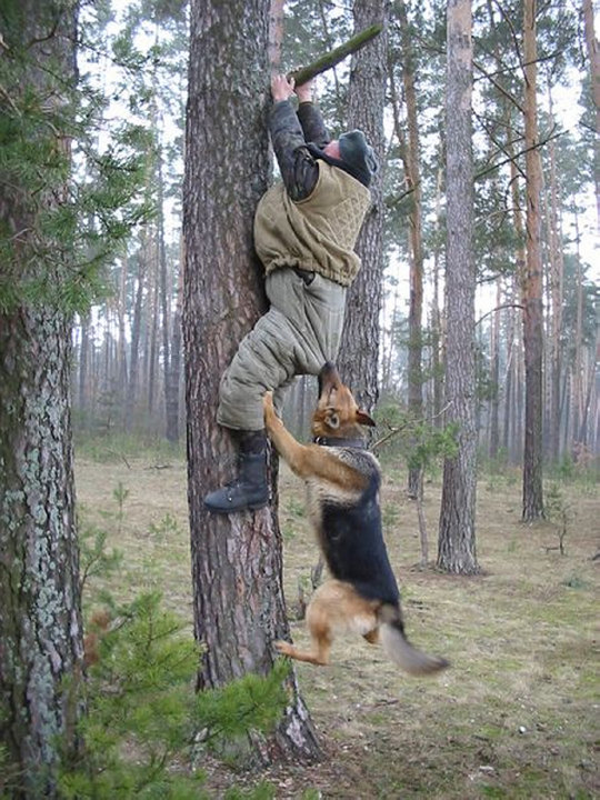 есть контакт.jpg