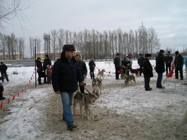 РєРѕР±РµР»Рё 3.JPG